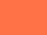 Neon Orange Color Chip